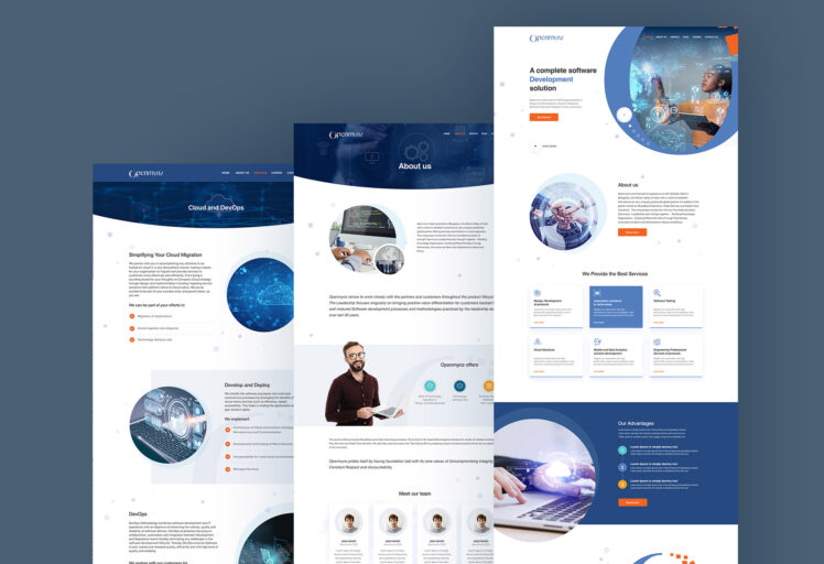 openmynz website mockup